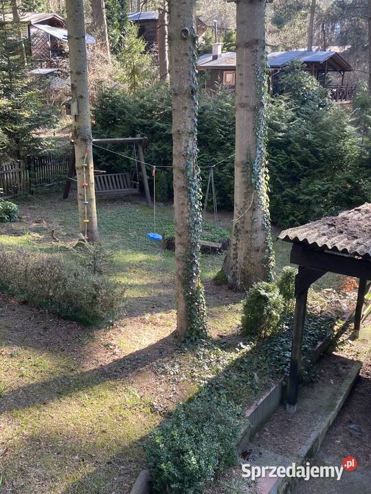 Domek jeziorem w lesie pomorskie Zbychowo