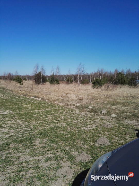 Działka rolna w Osówce koło Sierpca mazowieck mazowieckie Osówka