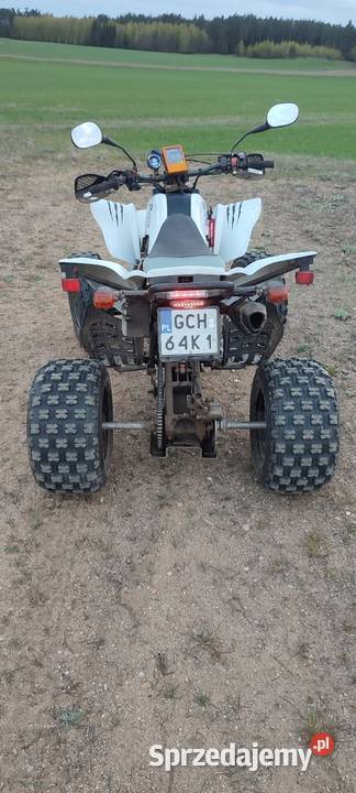 Quad Bashan 250 Rok produkcji 2008 Działdowo