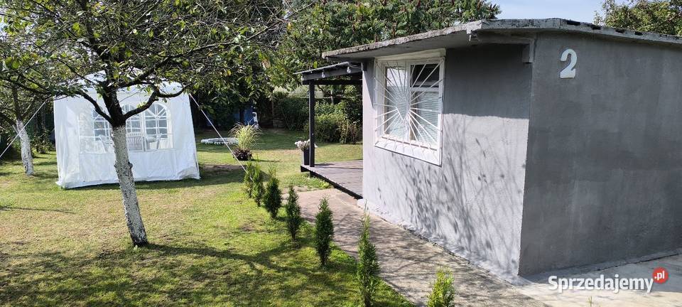 Działka Rekreacyjna Rod Stokrotka 315m2 Sprzedaż Lubin sprzedam