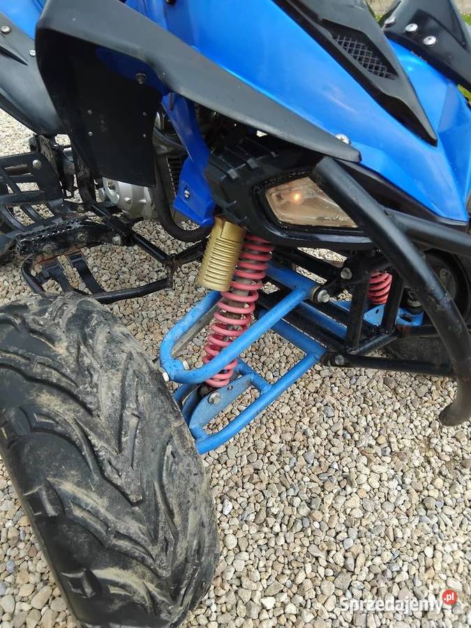 Quad 125 Konina