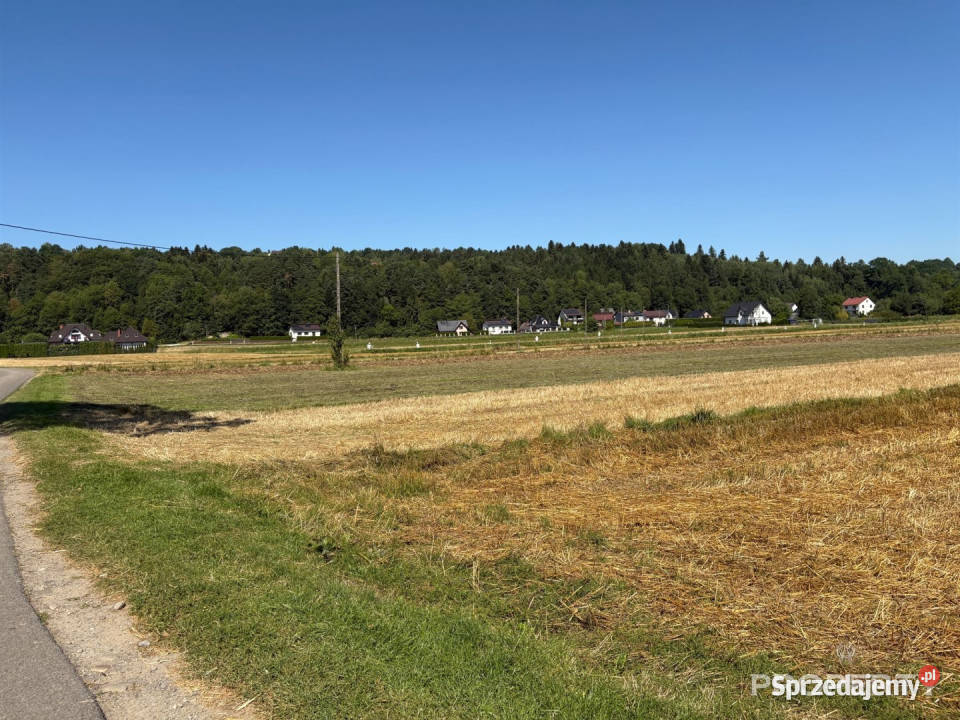 Sprzedam działka Podegrodzie 2700 metrów Sprzedaż