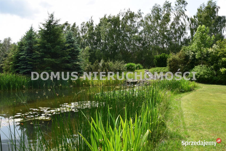 Dom wolnostojący 54621m2 Ewcin Domy
