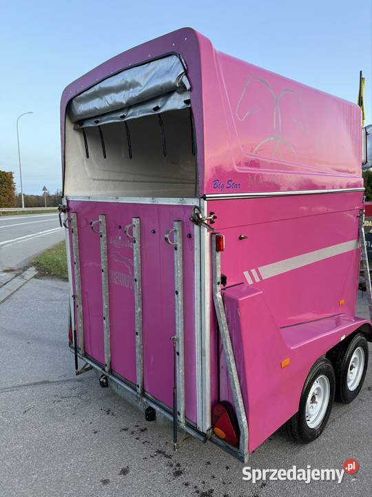 Przyczepa 2008r 2000 Solnica