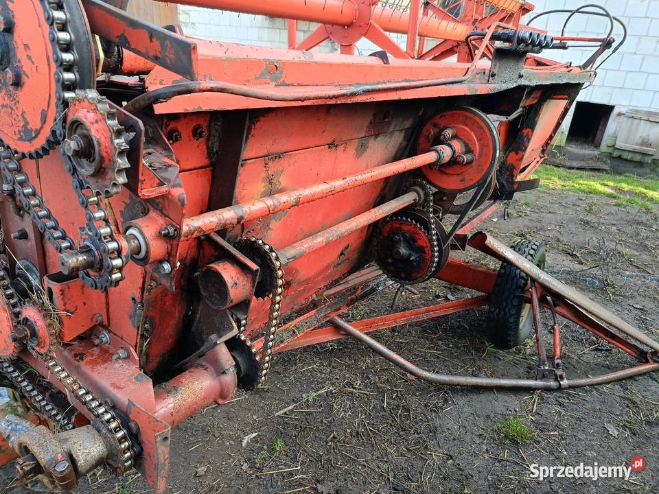 Bizon Z056 super sieczkarnia heder Łukow Łuków