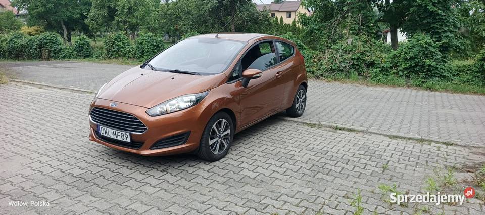 Ford Fiesta 2013 dolnośląskie Wołów