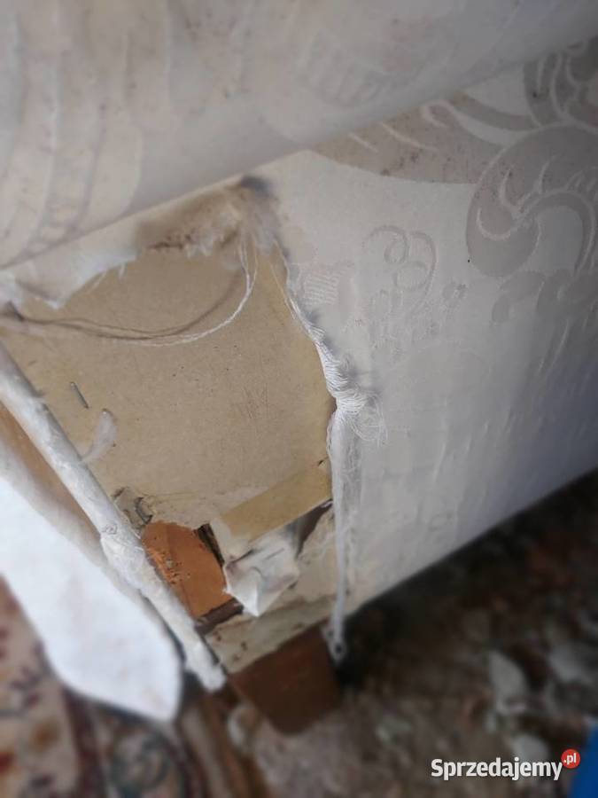 Kanapa antyk do renowacji Miłoszyce