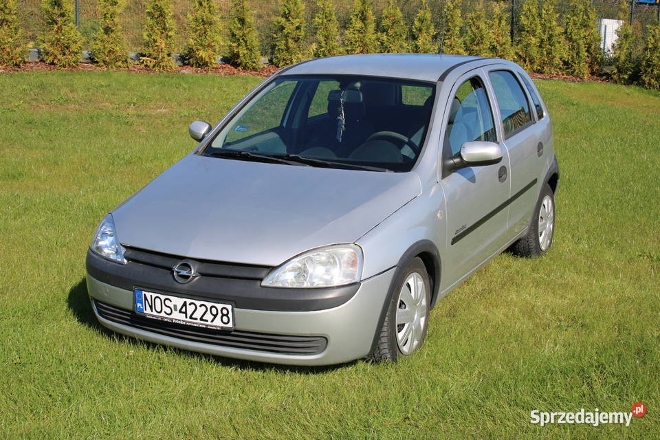 Opel Corsa C 12 Comfort 2001 302615 Sprawna RATY Corsa warmińsko-mazurskie Iława