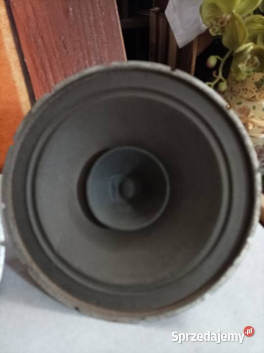 Philips głośniki szerokopasmowe 50s