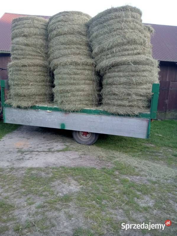 Siano Produkcja roślinna świętokrzyskie Wola Czaryska