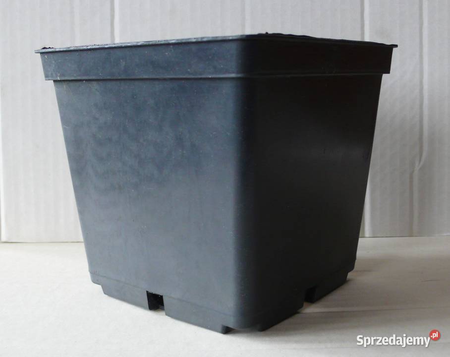 Doniczki produkcyjne 3000 Woj wielkopolskie