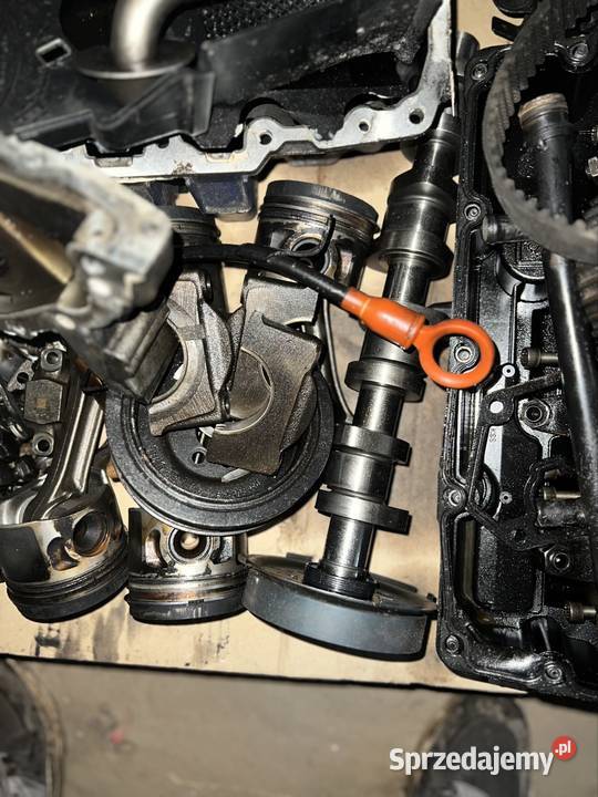 Silnik 19 bls Półwieś