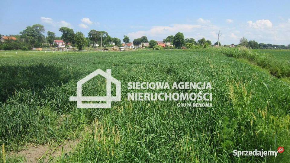 Działka 4000m2 Sztutowo polna