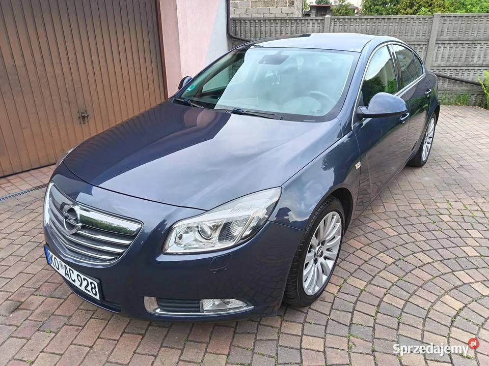 Opel Insignia 220 koni Manual benzyna 20 turbo Częstochowa