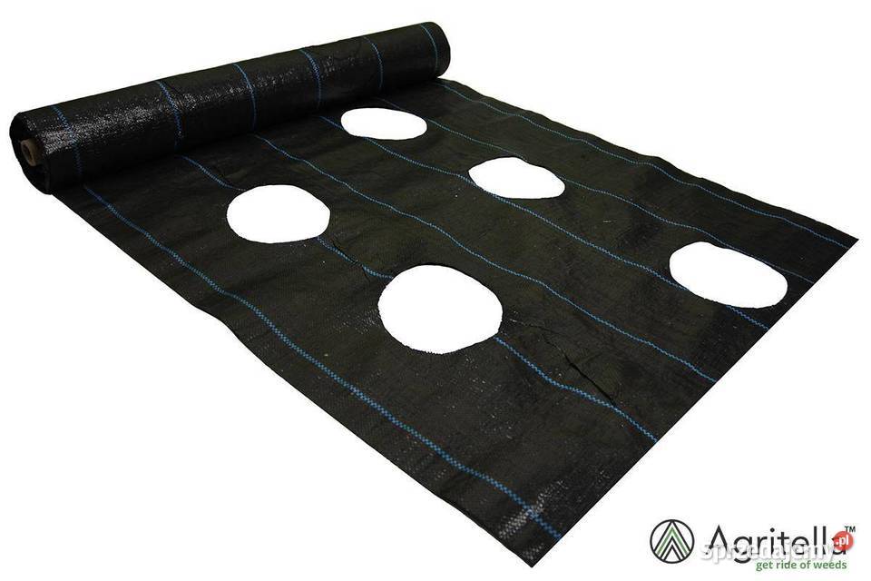 Agrotkanina OTWORY pod TRUSKAWKI 08 x 20m 2