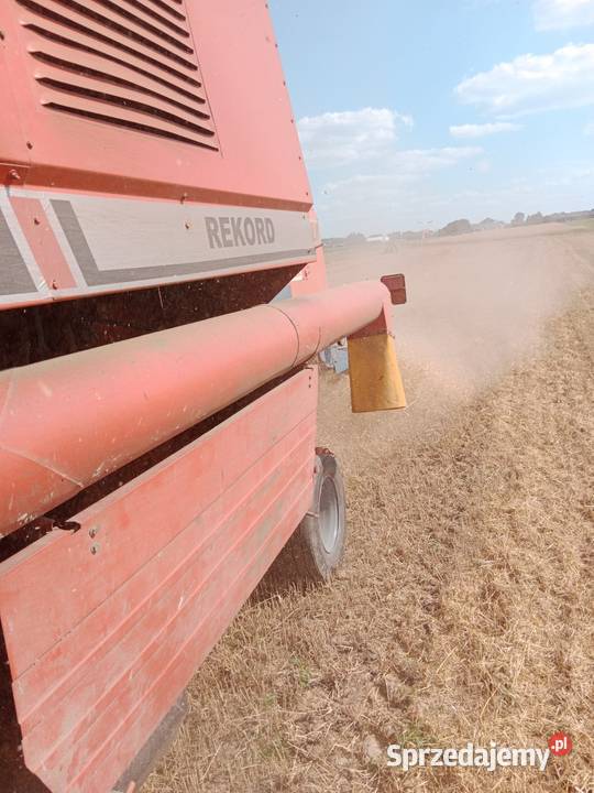 Kombajn bizon rekord Waleńczów sprzedam