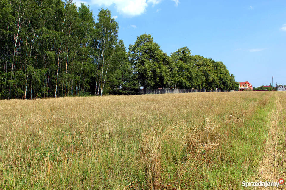 Działki k Opola na sprzedaż zamianę na 839m2 Wawelno