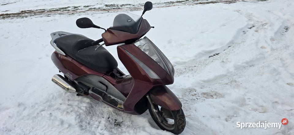 Honda pantheon 125 4t Kosin