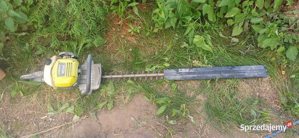 Spalinowe nozyce do żywopłotu Ryobi Puławy