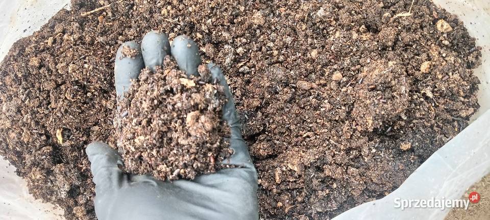 Czysty obornik kurzy bez słomy 20 500 1200 Nawozy Radom