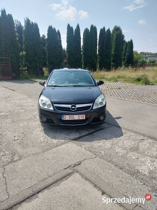 Opel Signum 19CDTI 8v 120 Rok produkcji 2008 Signum Gostyń
