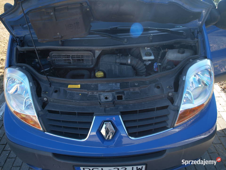 Renault Trafic Słupca