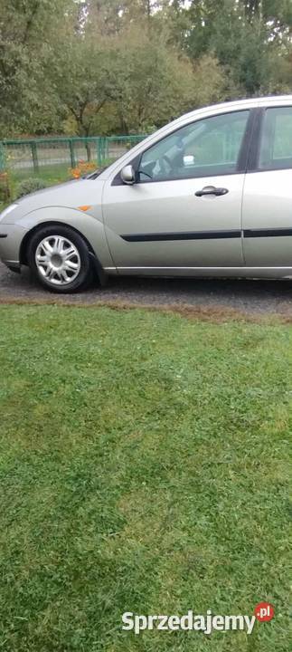 Ford Focus 2003 benzyna 16 Zamość