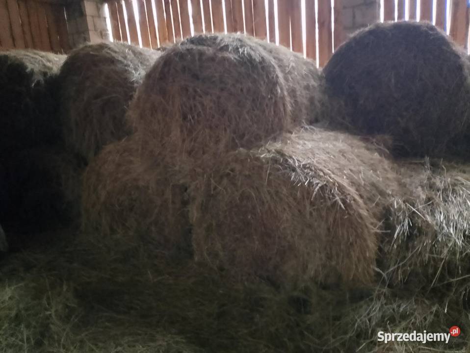 Sprzedam siano Bogoria