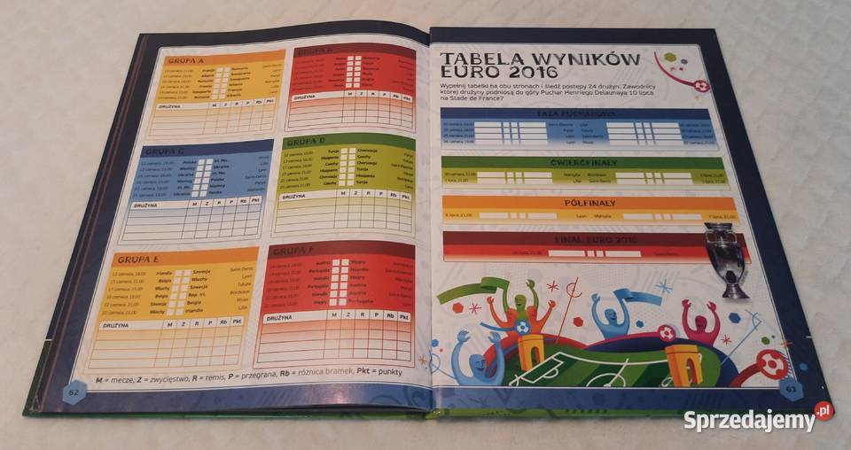 Niezbędnik kibica UEFA Euro 2016 Francja Książki dla dzieci Czeladź