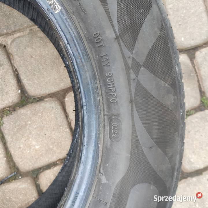 Opony letnie 195 65 15 24r 195 podkarpackie Dębica