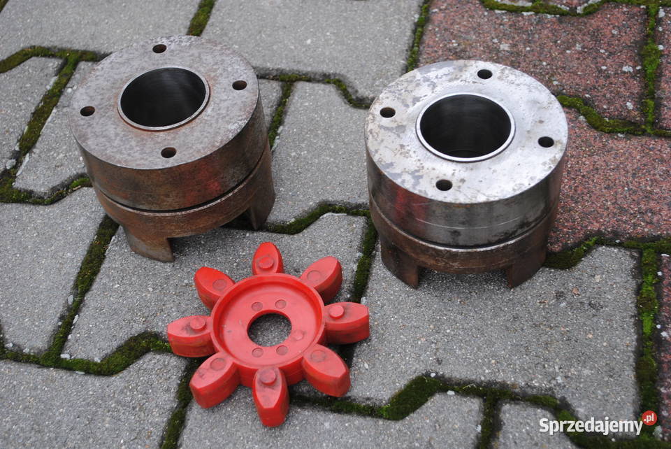 Sprzęgło kłowe z wkładką Otwory 60mm Rotex