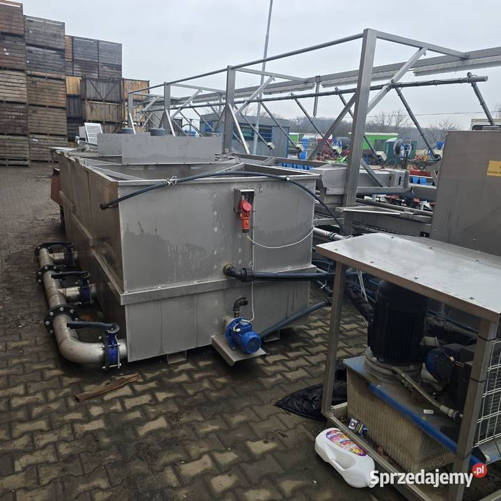 Linia do segregacji i mycia warzyw cebuli itd Nysa