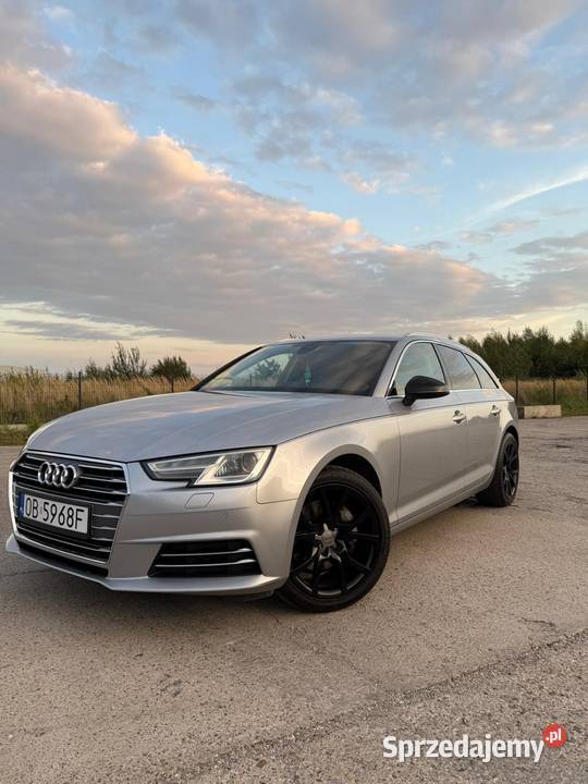 Audi A4 B9 Brzeg