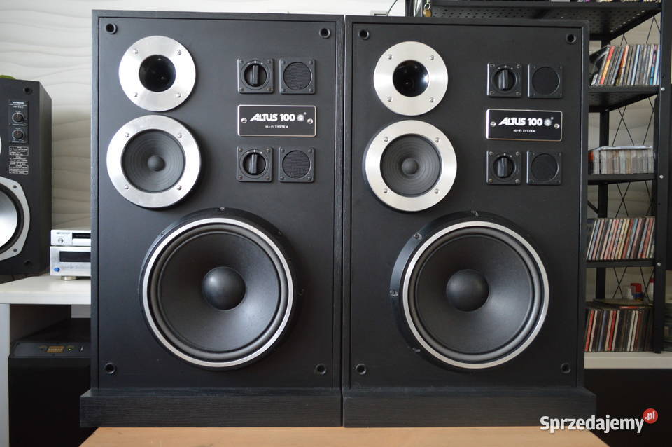 Altus 100 Eksportowe HGS Electronic Renowacji Audio Haczów