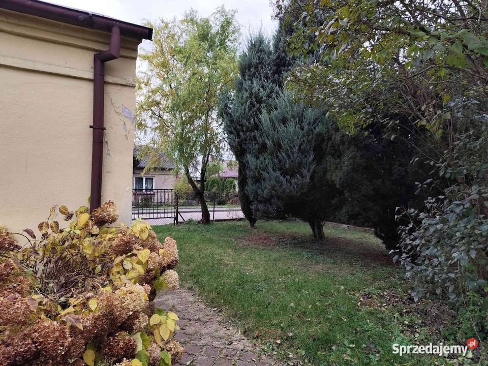 Sprzedam Nowe Proboszczewice