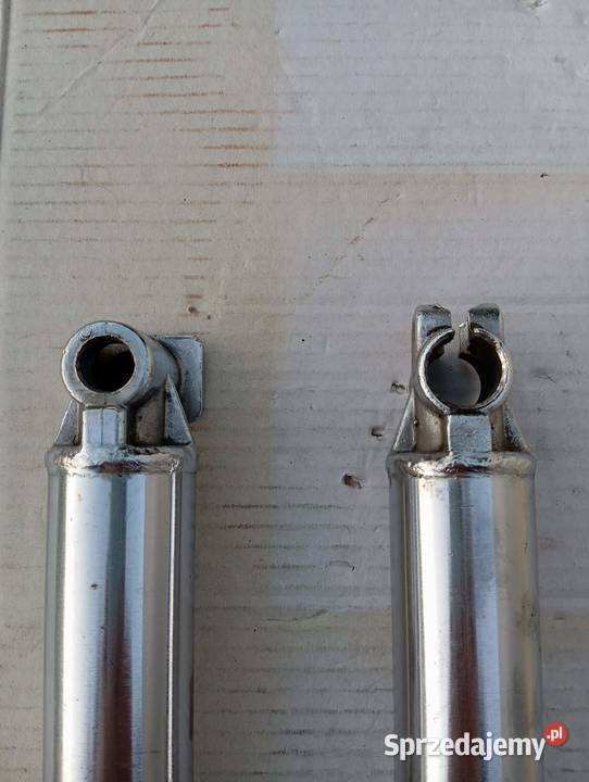 GOLENIE LAGI POCHWY IŻ PLANETA JUPITER sprzedam