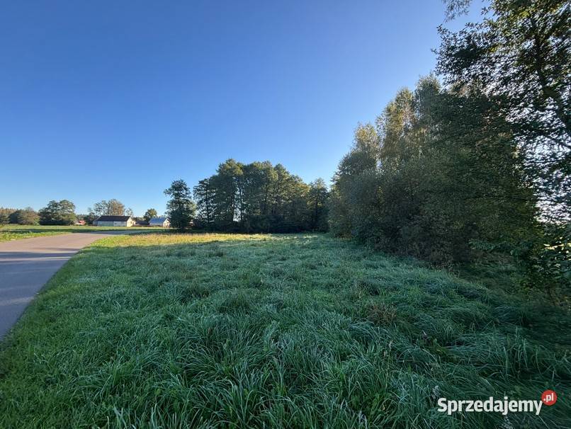 Działka budowlana 2000 m2 w spokojnej okolicy Sprzedaż Rogóźnia sprzedam