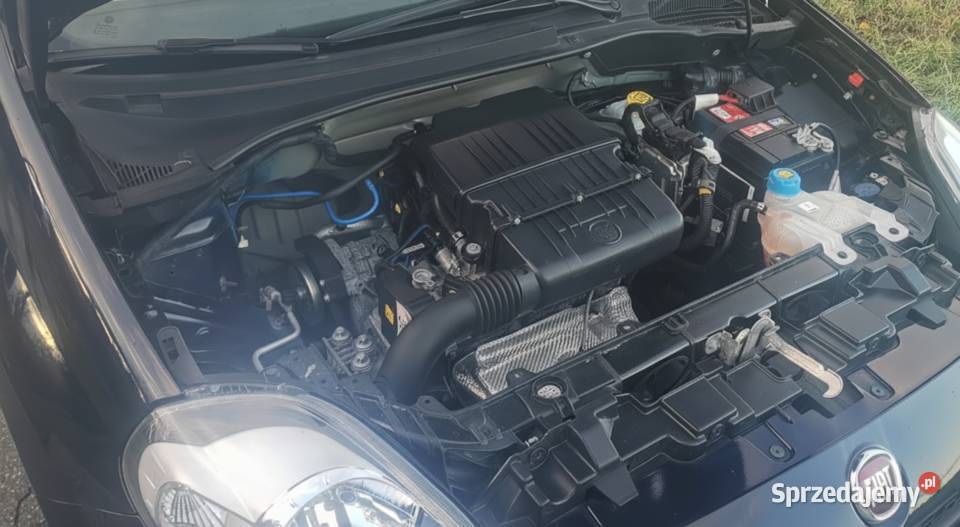 Sprzedam Punto z grudnia 2014 Bezwypadkowy Punto kujawsko-pomorskie Jabłonowo Pomorskie