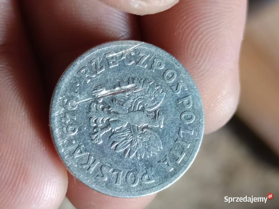 Sprzedam monete 50 gr 1949 r Chełm sprzedam