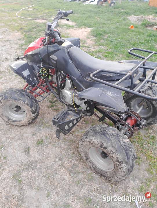 Sprzedam qlada 125 Rok produkcji 2026 Ostrów Lubelski