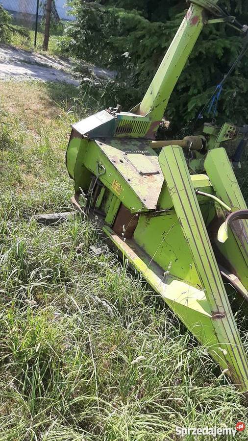 Sieczkarnia Class Jaguar 30 Urzędów sprzedam