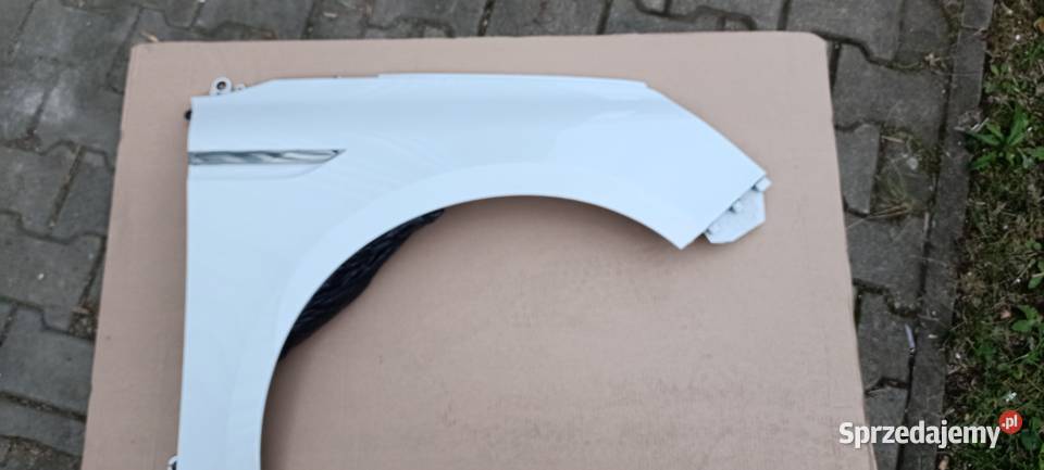 Przedni błotnik MEGANE 4 kod lakieru DV369 dolnośląskie Oława