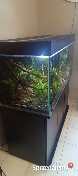 Akwarium 120x50x50 zestaw opti Zamarski