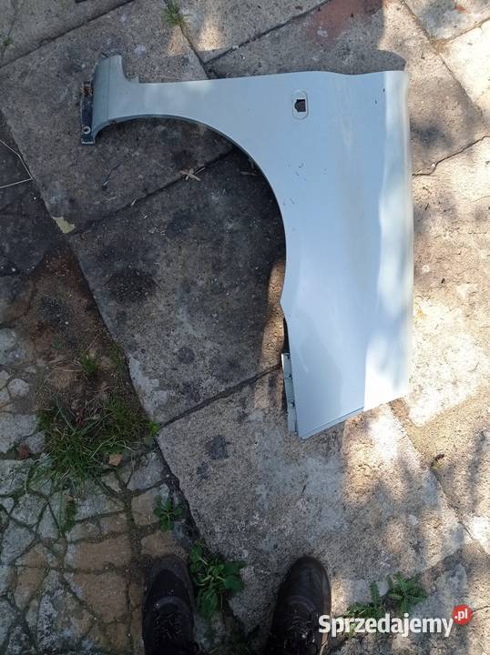 Błotnik Clio II lewy prawy Łask