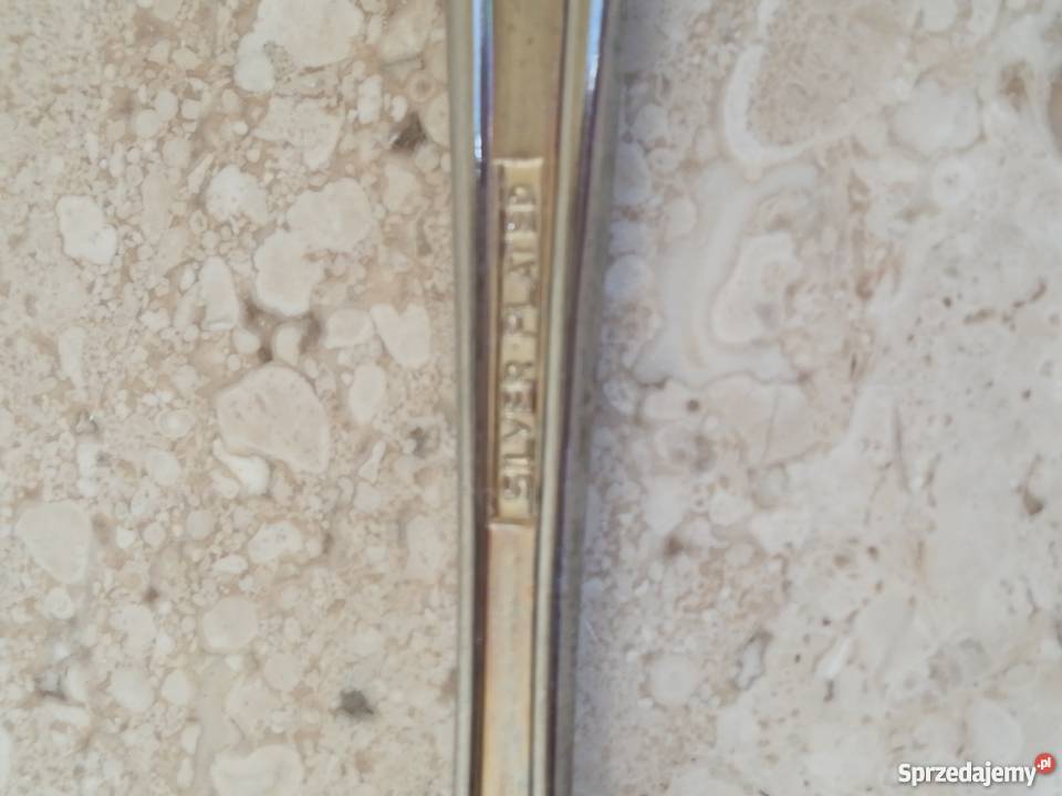 Posrebrzana łyżeczka z okazji narodzin księcia lubelskie Zamość