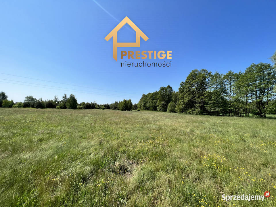 Działki budowlane w Białej Panieńskiej gmRychwał 45zł/m2 sprzedam