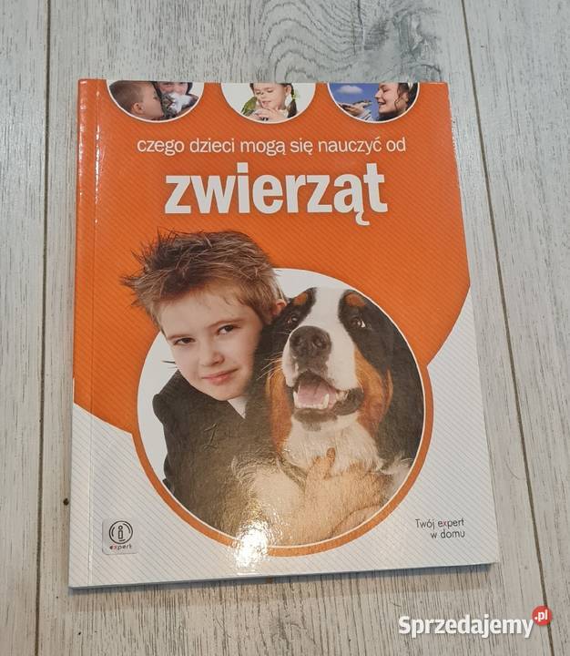 Książka Czego dzieci mogą nauczyć się zwierząt miękka Łódź