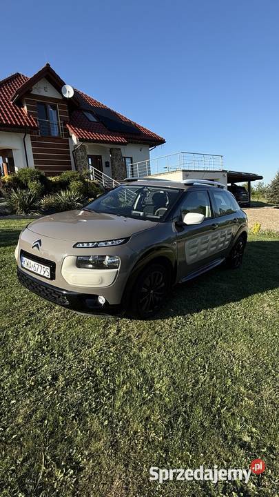 Citron C4 Cactus 12 Benzyna 82 2017r niski Tłuczań