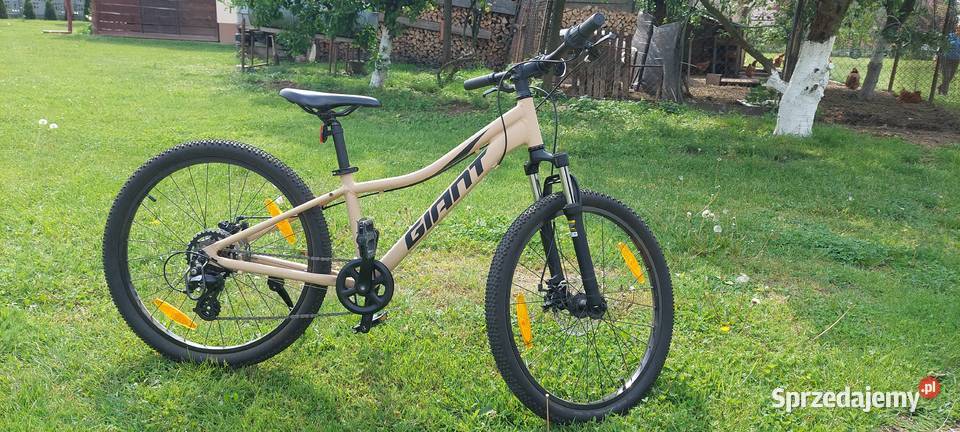 Sprzedam rower Giant 24 Wiązownica