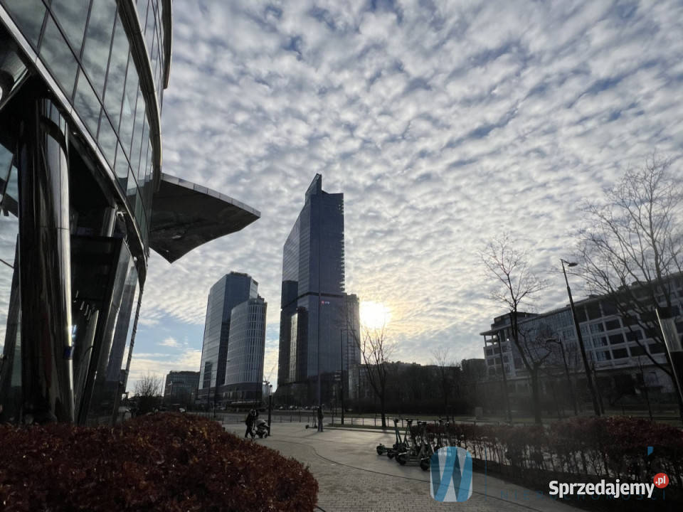 wynajmu lokalu Warszawa 50m2